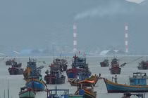 Dự án nhận chìm 1 triệu m3 bùn: Hàng loạt nhà khoa học bị mạo danh lên tiếng