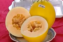 Video: “Bỏ túi” ngay mẹo nhận biết dưa lưới sạch không hóa chất 