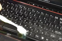  5 cách tái chế bàn chải đánh răng cũ thành vật hữu ích 