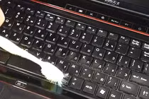  5 cách tái chế bàn chải đánh răng cũ thành vật hữu ích 