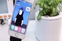 Kinh ngạc chậu cây có khả năng kết nối wifi