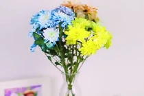 Cách nhuộm màu cho những bông hoa theo ý muốn