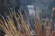 Sự thật kinh hoàng đằng sau những cây hương thơm