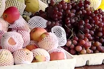 Sai lầm nghiêm trọng trong quan niệm ăn hoa quả thay rau