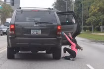 Chồng đạp vợ khỏi xe vì... bẩn và nhận cái kết đắng