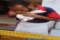 Cách tăng cân chim bồ câu trước khi bán