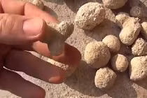 Bí ẩn những hòn đá kỳ lạ có thể... đẻ con