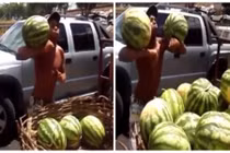 Xuất hiện thánh đỡ dưa hấu siêu đẳng