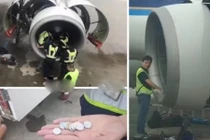 Chỉ vì mê tín, cụ bà suýt giết cả hành khách máy bay