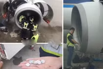 Chỉ vì mê tín, cụ bà suýt giết cả hành khách máy bay