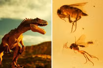 Khủng long liệu có thể hồi sinh trên Trái Đất?