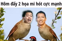 Công Phượng, Anh Đức “sáng” nhất mạng xã hội sau trận thắng Malaysia