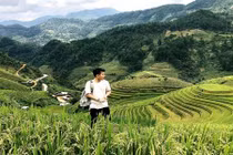 Mùa vàng Mù Cang Chải đẹp tuyệt trong mắt chàng phượt thủ miền Nam