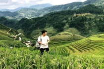 Mùa vàng Mù Cang Chải đẹp tuyệt trong mắt chàng phượt thủ miền Nam