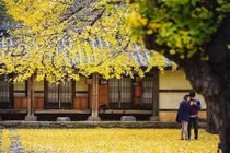 Bí quyết du lịch Hàn Quốc mùa thu, chìm đắm trong thiên đường lãng mạn