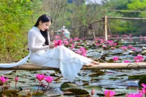 Rủ nhau check in mùa hoa súng nhuộm hồng suối Yến chùa Hương 