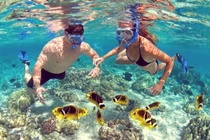 Khám phá vẻ đẹp của “hoang đảo” Cù Lao Xanh hòn ngọc biển đông 