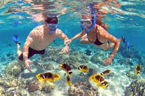 Khám phá vẻ đẹp của “hoang đảo” Cù Lao Xanh hòn ngọc biển đông 