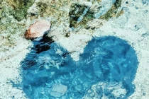 “Hố trái tim” điểm check in “cực tình” khiến giới trẻ đứng ngồi không yên