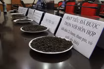 Khởi tố, bắt giam 5 người trong vụ trộn hỗn hợp than pin vào tiêu