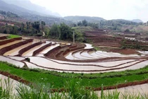 Yên Bái tạm dừng tổ chức hai sự kiện văn hóa, du lịch lớn