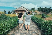 Những điểm săn lúa chín ở Sapa bao chụp hình đẹp quên sầu
