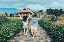 Những điểm săn lúa chín ở Sapa bao chụp hình đẹp quên sầu