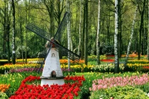 Du khách nô nức kéo tới chiêm ngưỡng thiên đường nơi hạ giới