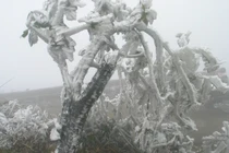 Không khí lạnh mạnh tăng cường, miền Bắc lạnh 5-8 độ C