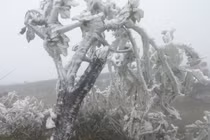 Không khí lạnh mạnh tăng cường, miền Bắc lạnh 5-8 độ C