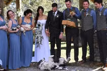 Cặp đôi gây sốt khi “mời” thú cưng làm khách trong đám cưới