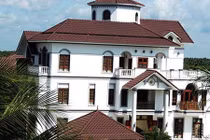 Con ông Trần Văn Truyền kê khai tài sản như thế nào?