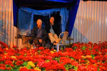 Chuyện những cặp tình già mưu sinh xuyên đêm dịp Tết