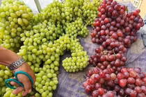 4 loại quả Trung Quốc “đội lốt” hàng Việt, người tiêu dùng lưu ý