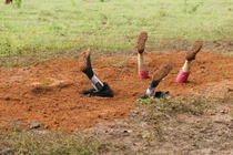 Kiều Minh Tuấn, Huy Khánh ám ảnh khi bị chôn dưới đất để đóng phim