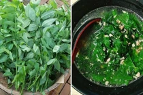 Loại rau quen thuộc giúp tăng cường sức khỏe sinh lý nam giới