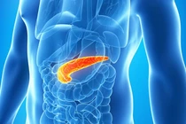 Dấu hiệu cảnh báo tuyến tụy gặp trục trặc, cần đi khám ngay