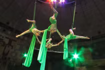 Nghệ sĩ bỏ nghề diễn vì bế tắc, nhiều Nhà hát hoang mang?