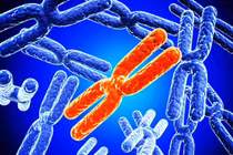 Hội chứng siêu nữ ảnh hưởng thế nào đến khả năng sinh sản?