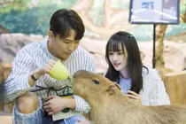 Rộ nghi vấn Trịnh Sảng có hai con với tình cũ Trương Hằng