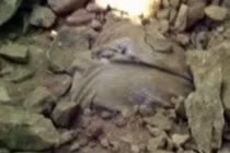 Kinh hãi người đàn ông say rượu bị chôn sống bằng nhựa đường