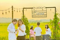 View - Khám Phá Quán Cà Phê Độc Đáo Giữa Đồng Xanh Thái Bình | Báo Tri thức và Cuộc sống - TIN TỨC PHỔ BIẾN KIẾN THỨC 24H