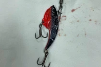 Người đàn ông bị lưỡi câu móc vào nhãn cầu khi đi câu cá