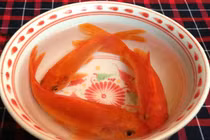 Đại kỵ nên tránh trong ngày cúng ông Công ông Táo 