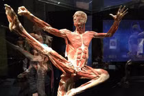 Triển lãm xác người nhựa hóa: Quá phản cảm, phi nhân tính