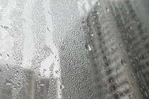 Chuyên gia chỉ cách đối phó với thời tiết nồm ẩm