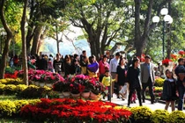 Dự báo thời tiết mồng 1 Tết: Nắng đẹp, nhiệt độ cao nhất 22oC