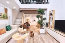 Nhà ống trong hẻm biến thành "vườn địa đàng" sau cải tạo