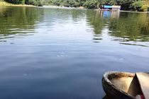 Vụ cá chết trên sông Bưởi: Kiểm tra hàng loạt nhà máy