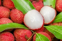 Quả vải ngọt ngon nhiều lợi ích nhưng 7 nhóm người này hạn chế ăn 